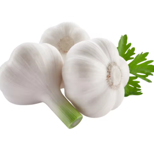 Fresh Garlic