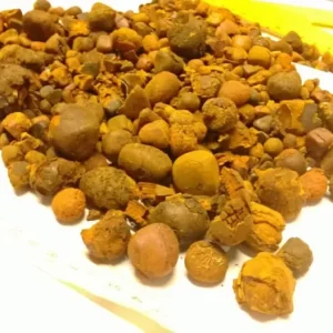 ox cow gallstones